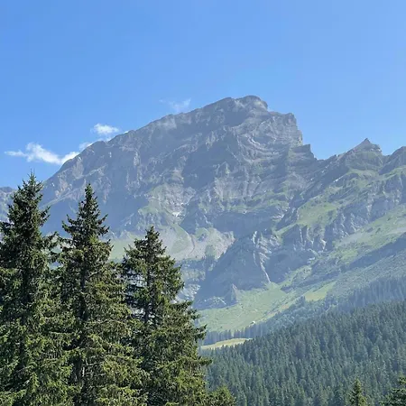 Апартаменты Griffon 06 *