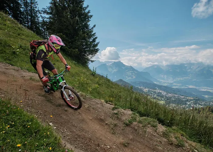 Griffon 06 Apartment