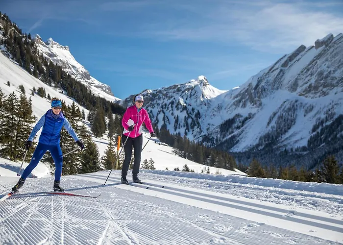 Griffon 06 Apartment *