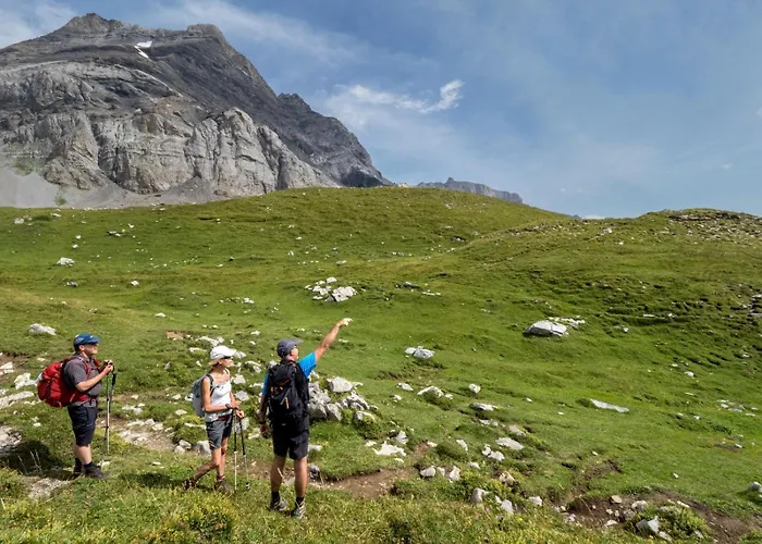 Griffon 06 Apartment Gryon