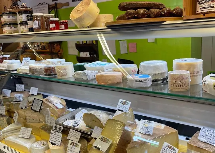 Griffon 06 Apartment *