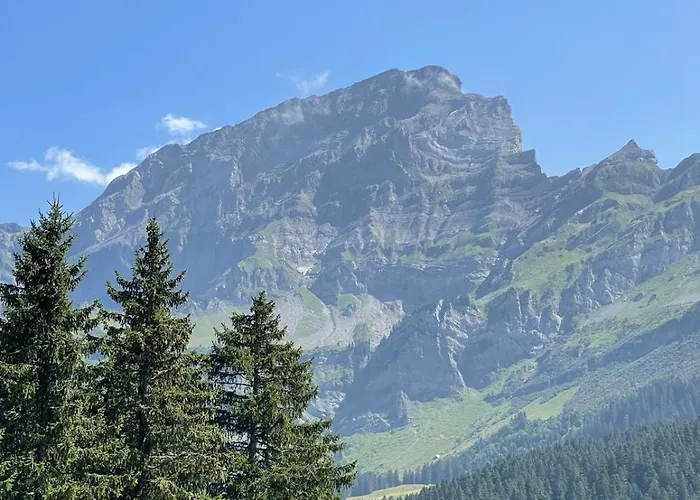 Apartment Griffon 06 *