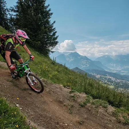 Griffon 06 Appartement