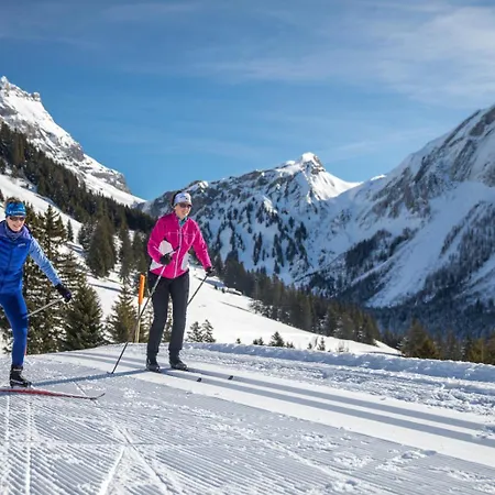 Griffon 06 Appartement *