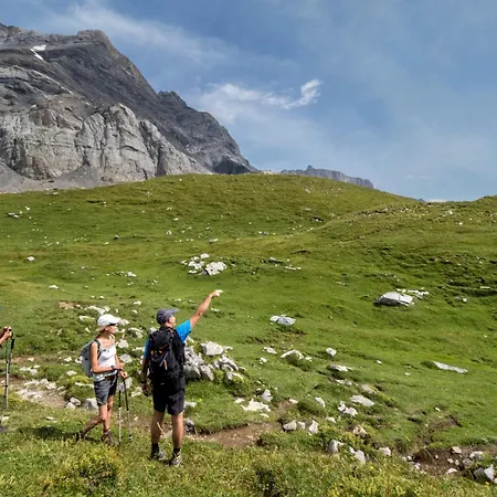 Griffon 06 Appartement Gryon