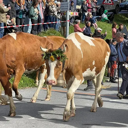 Appartement Griffon 06